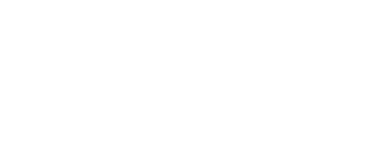Shopify Partner